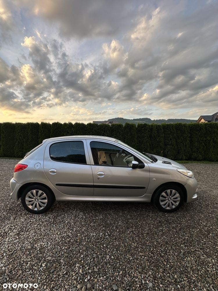 Peugeot 206 plus - 5