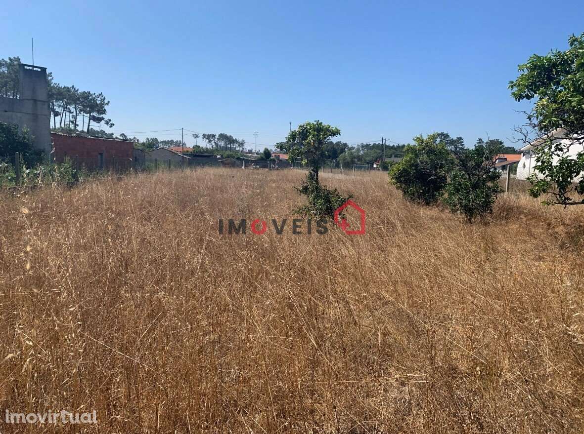 Terreno para construção - Grande imagem: 2/2