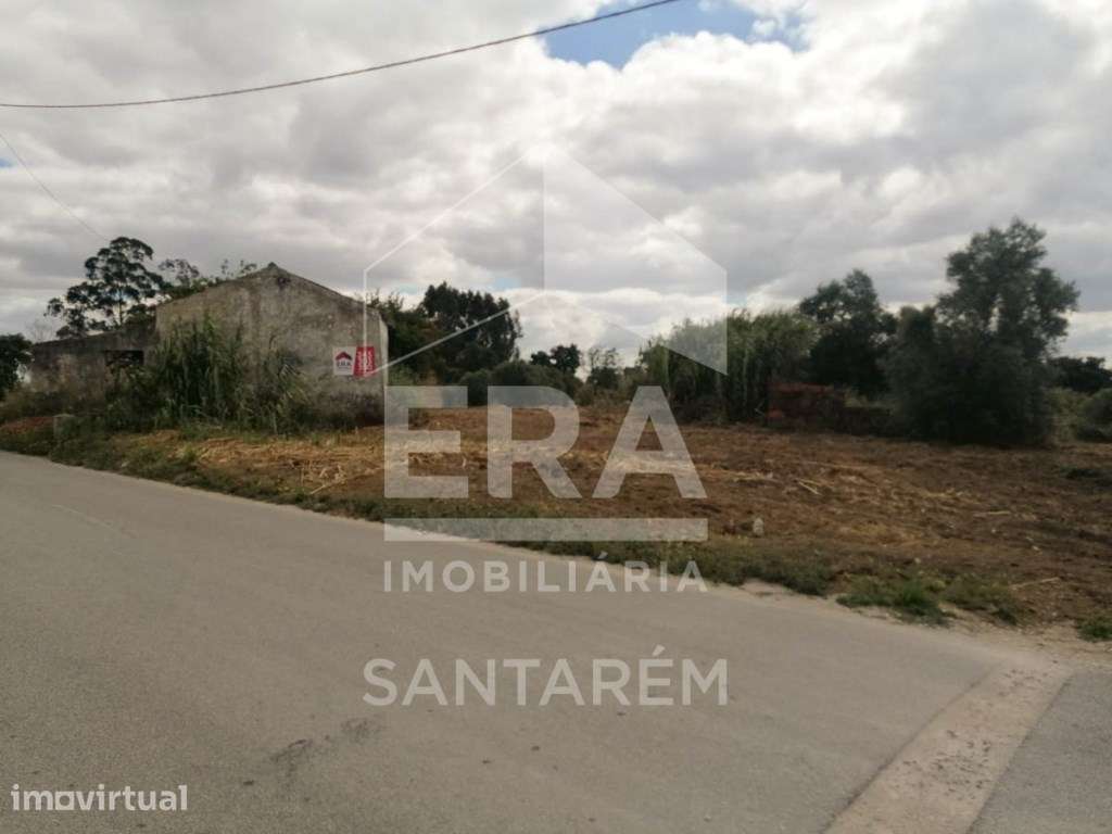 Terreno com 3Ha Para Construção e Possibilidade de Lotear - Grande imagem: 4/10
