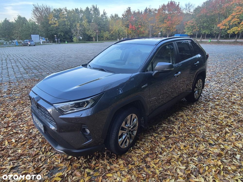 Toyota RAV4 2.5 Hybrid Executive 4x4 - 7