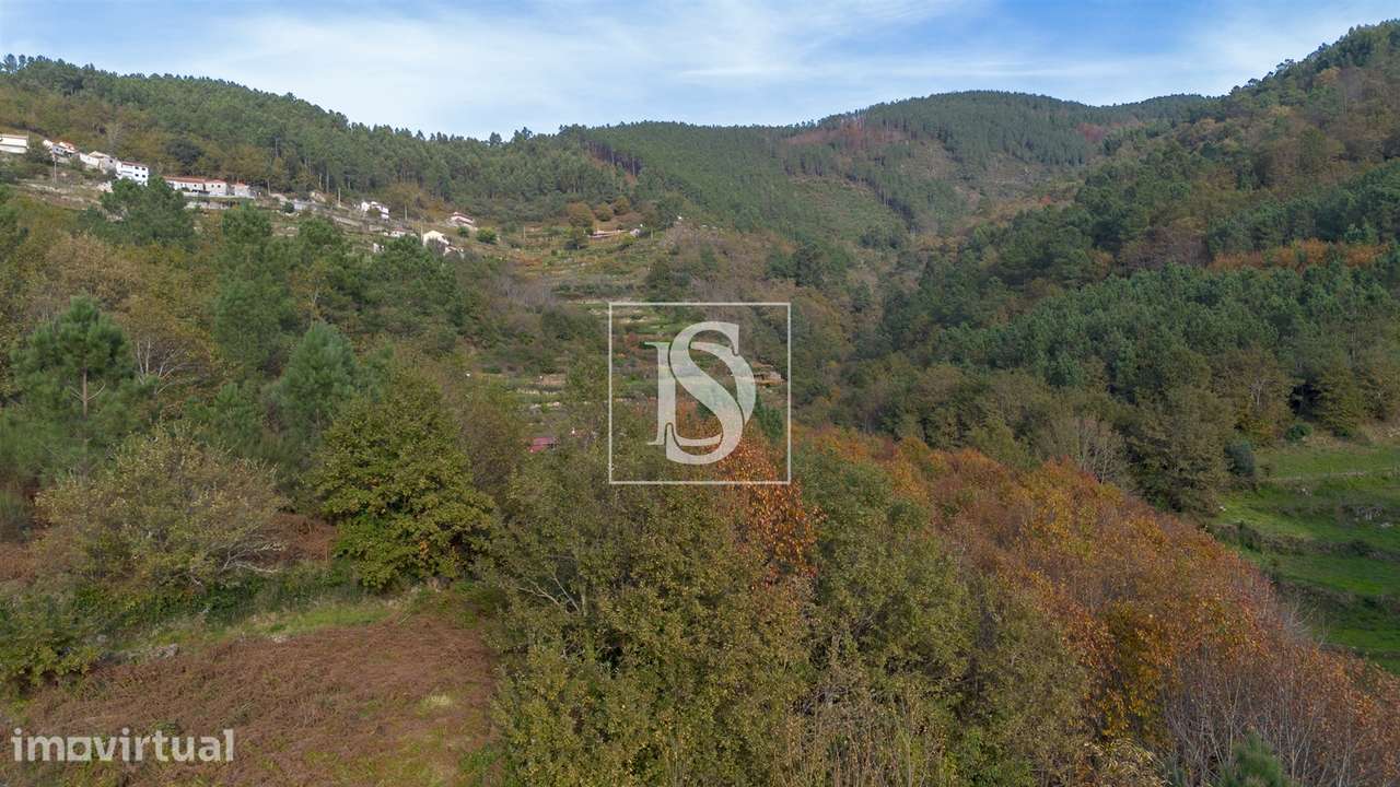 Terreno  Venda em Ansiães,Amarante - Grande imagem: 3/10