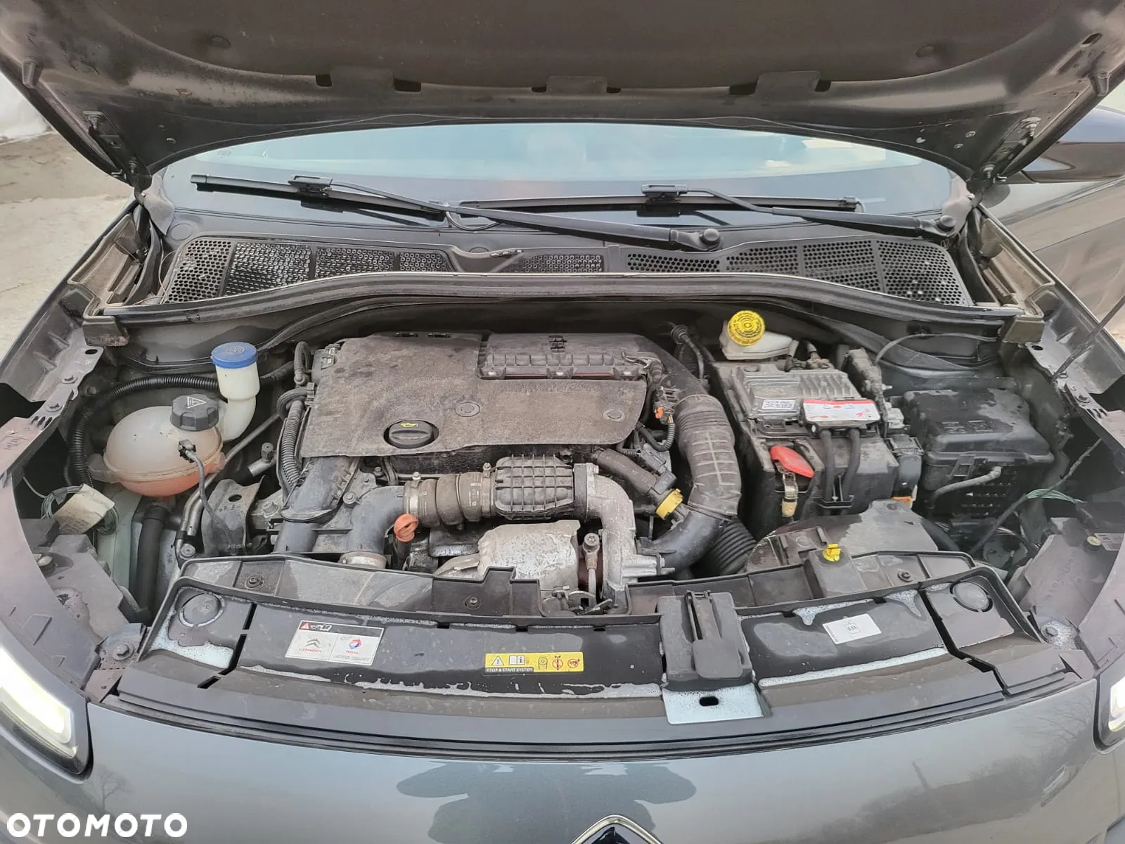 Citroën C4 Cactus 1.6 BlueHDi Feel - 19