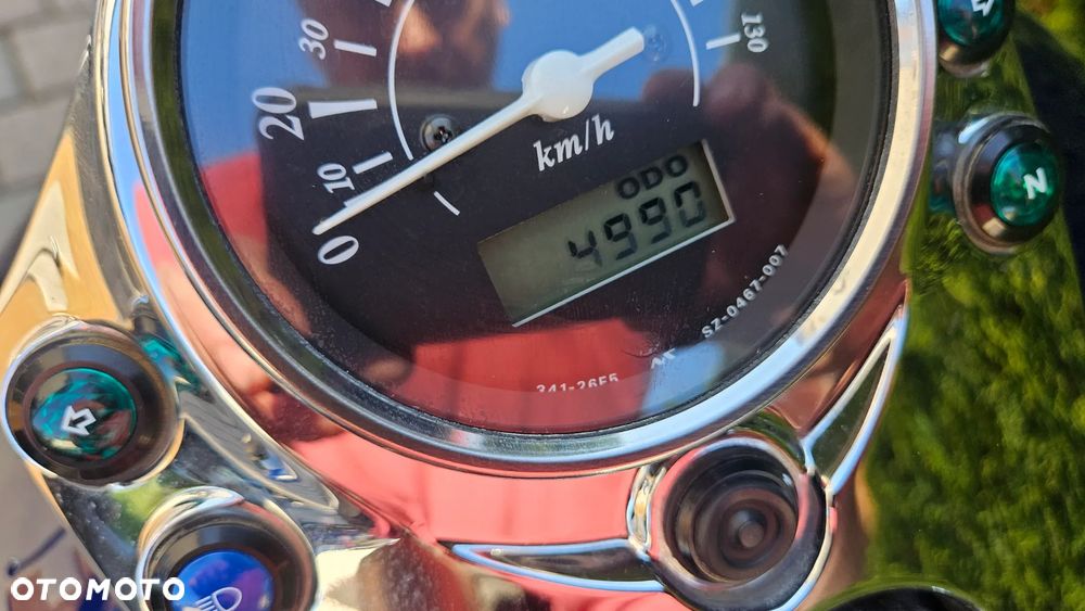 Suzuki Intruder - 16