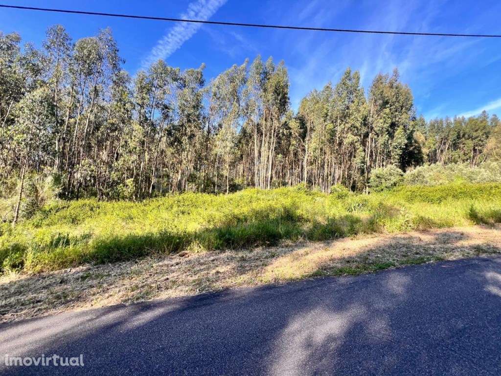 2 Terrenos com área total de 40960m2 em Ferreira do Zezere - Grande imagem: 3/31