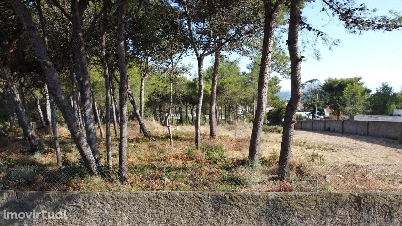 Terreno Urbano com 7.586 m2 para Construção em Birre, Cascais - Grande imagem: 5/11