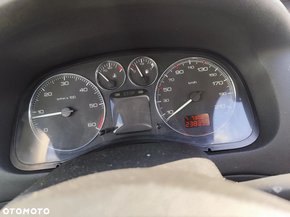 Peugeot 307 1.6 HDI Trendy - 17