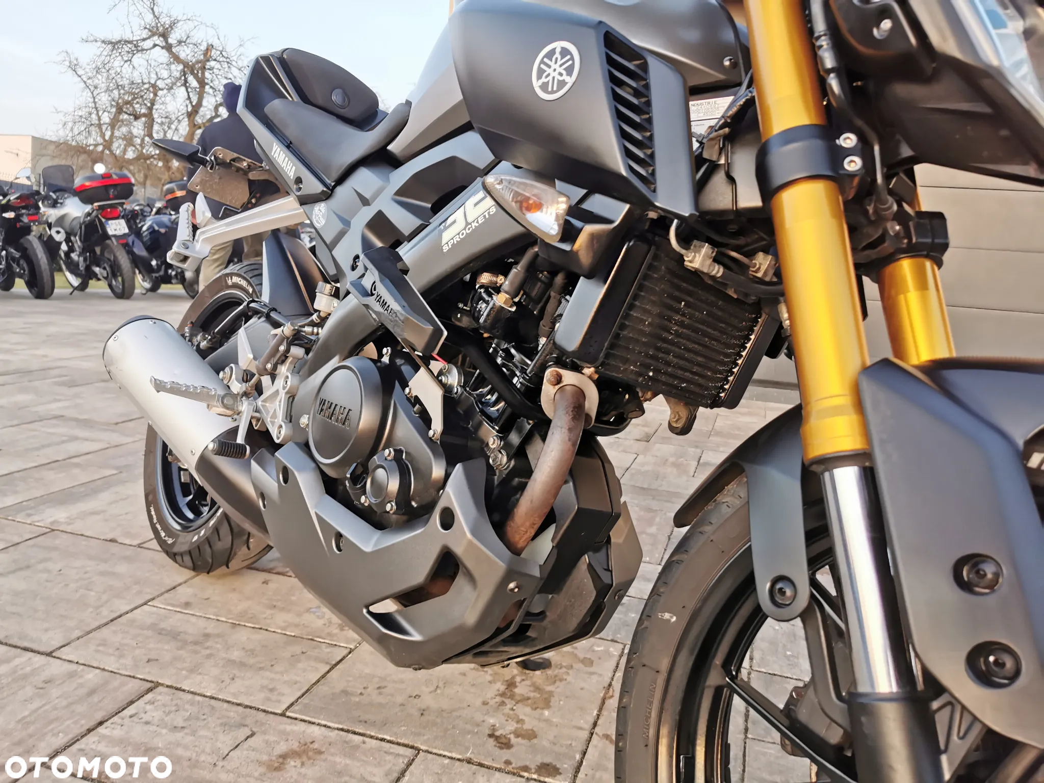 Yamaha MT - 24