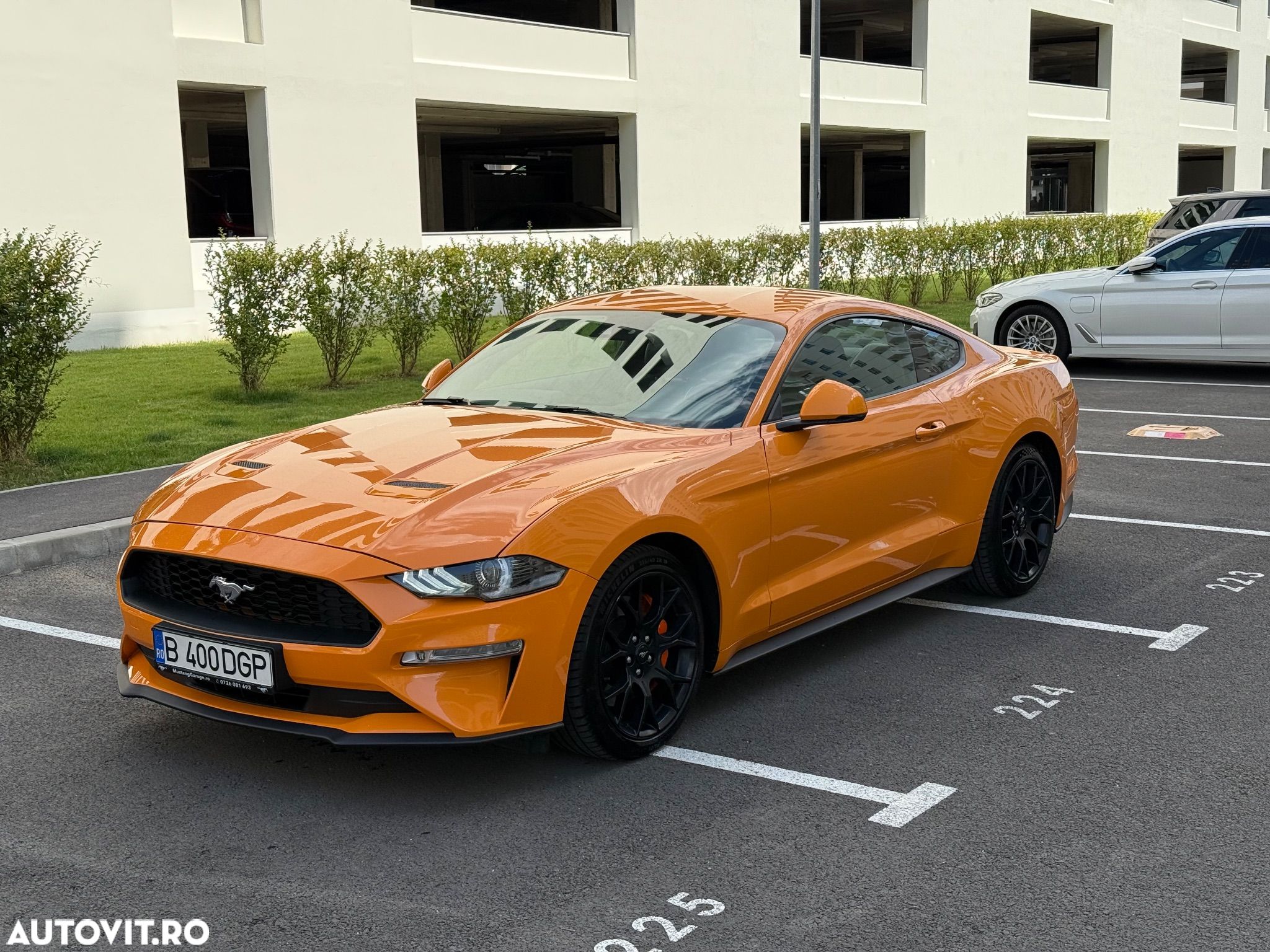 Ford Mustang - 1