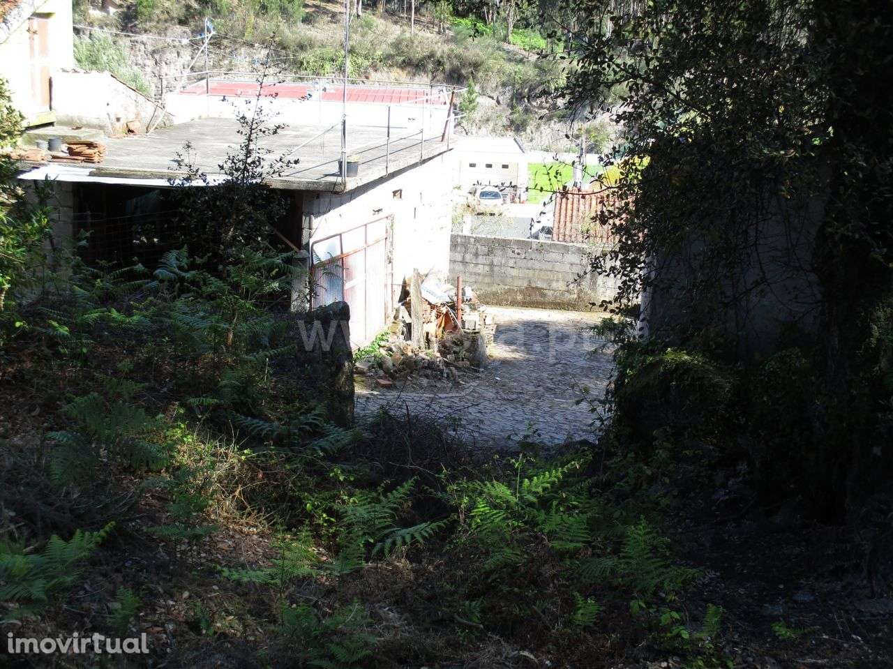 Terreno agrícola em palmeira de Faro, Esposende - Grande imagem: 3/4
