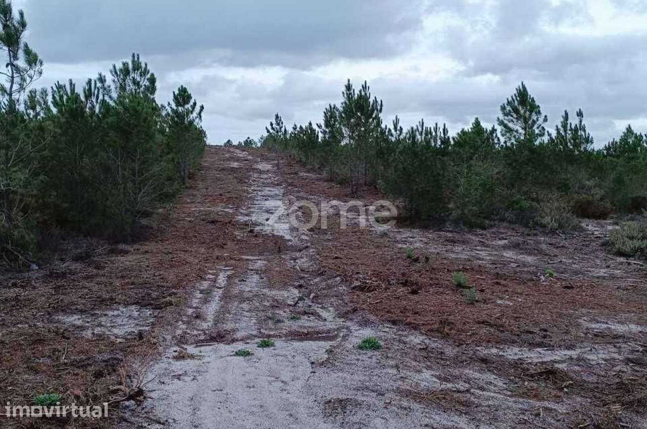 Terreno em Brejinho de Água Sul - Grande imagem: 5/18