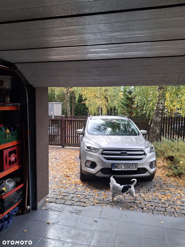 Ford Escape 1.5 EcoBoost AWD SE - 13