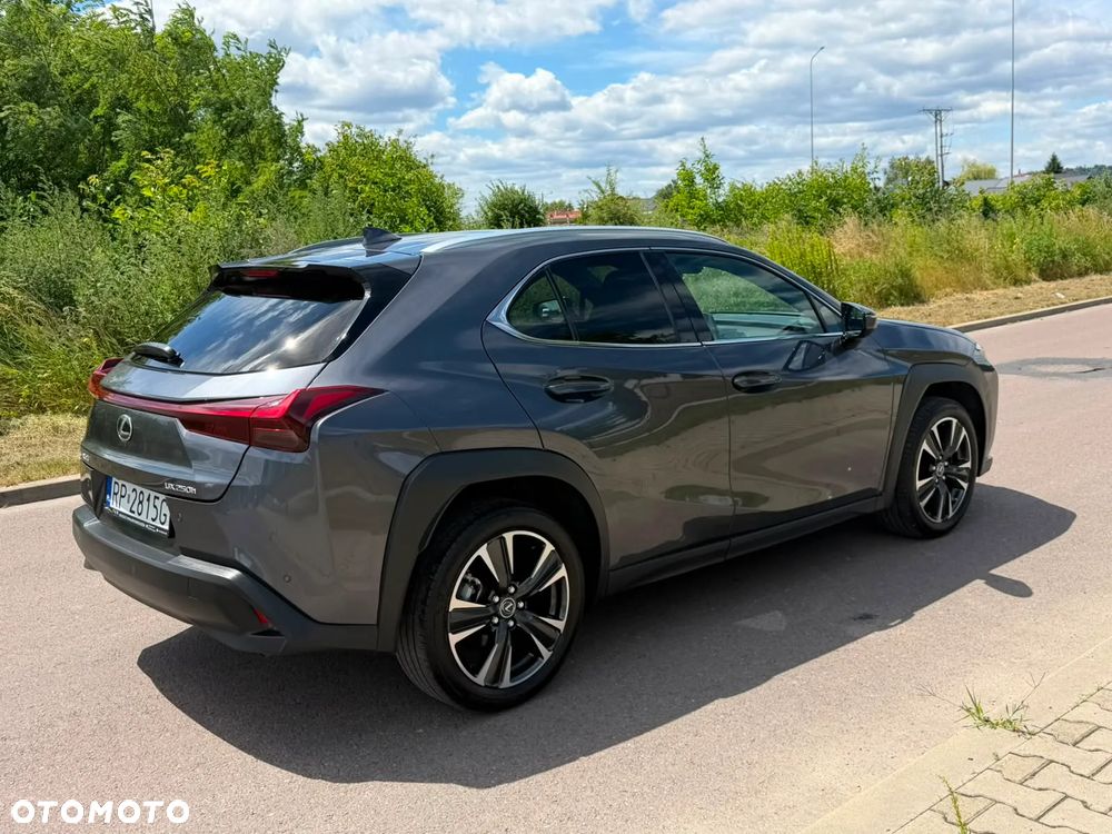 Lexus UX 250h - 7