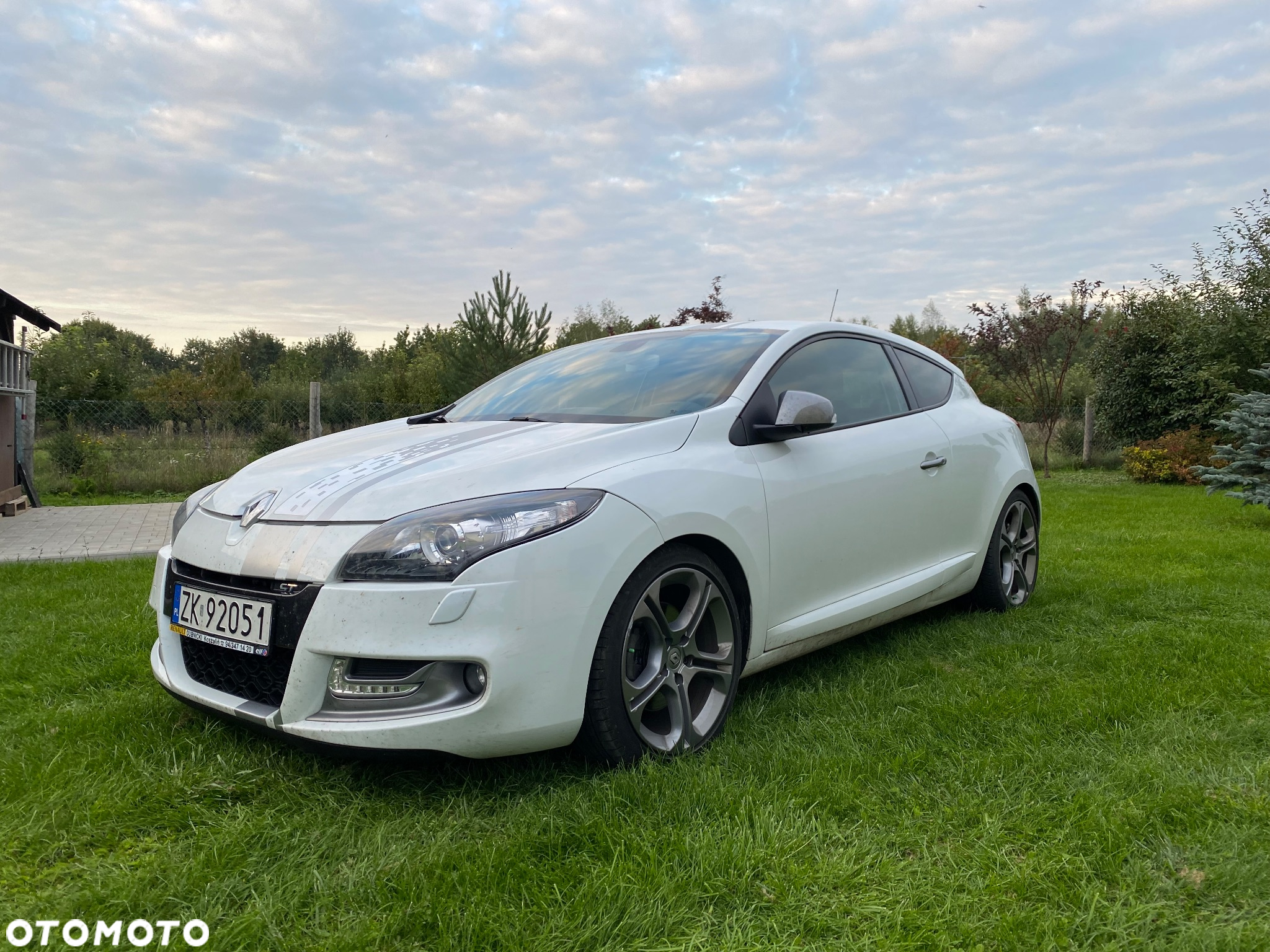 Renault Megane - 6