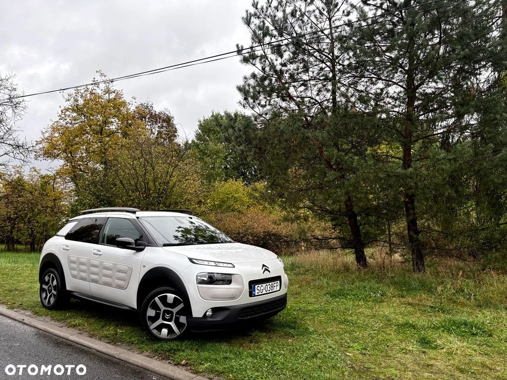 Citroën C4 Cactus PureTech 110 Stop&Start Shine - 20