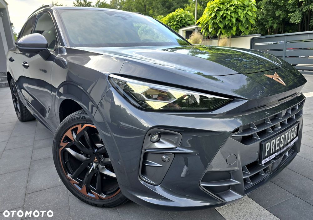 Cupra Terramar - 2