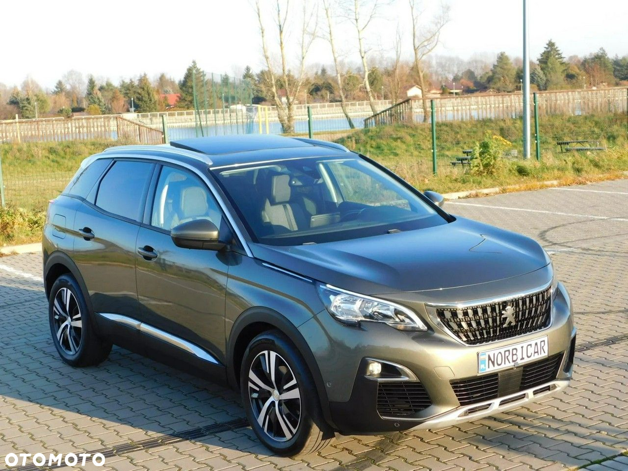 Peugeot 3008 1.5 BlueHDi Allure S&S - 29