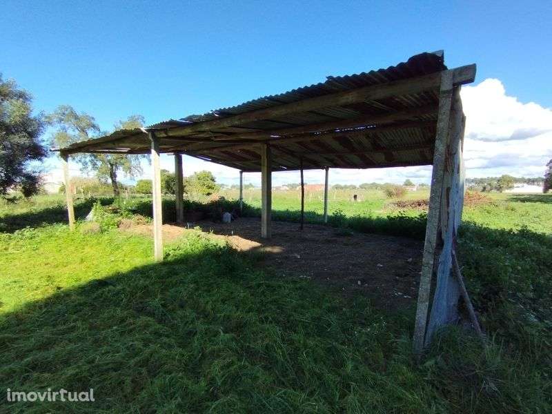 Base de vida em Grândola - Grande imagem: 3/7