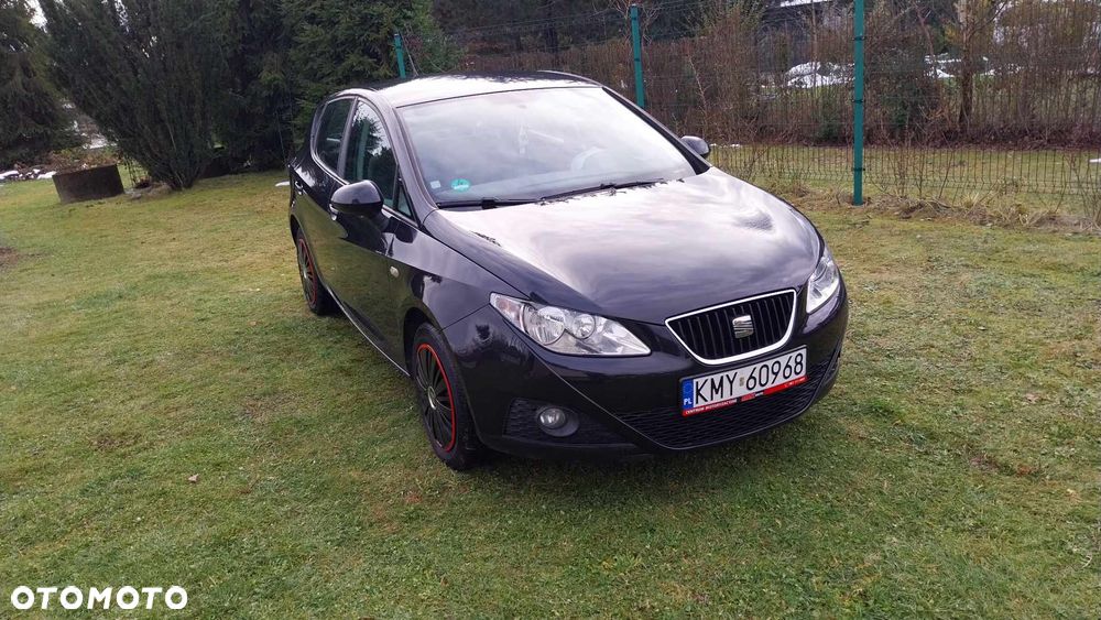 Seat Ibiza - 17