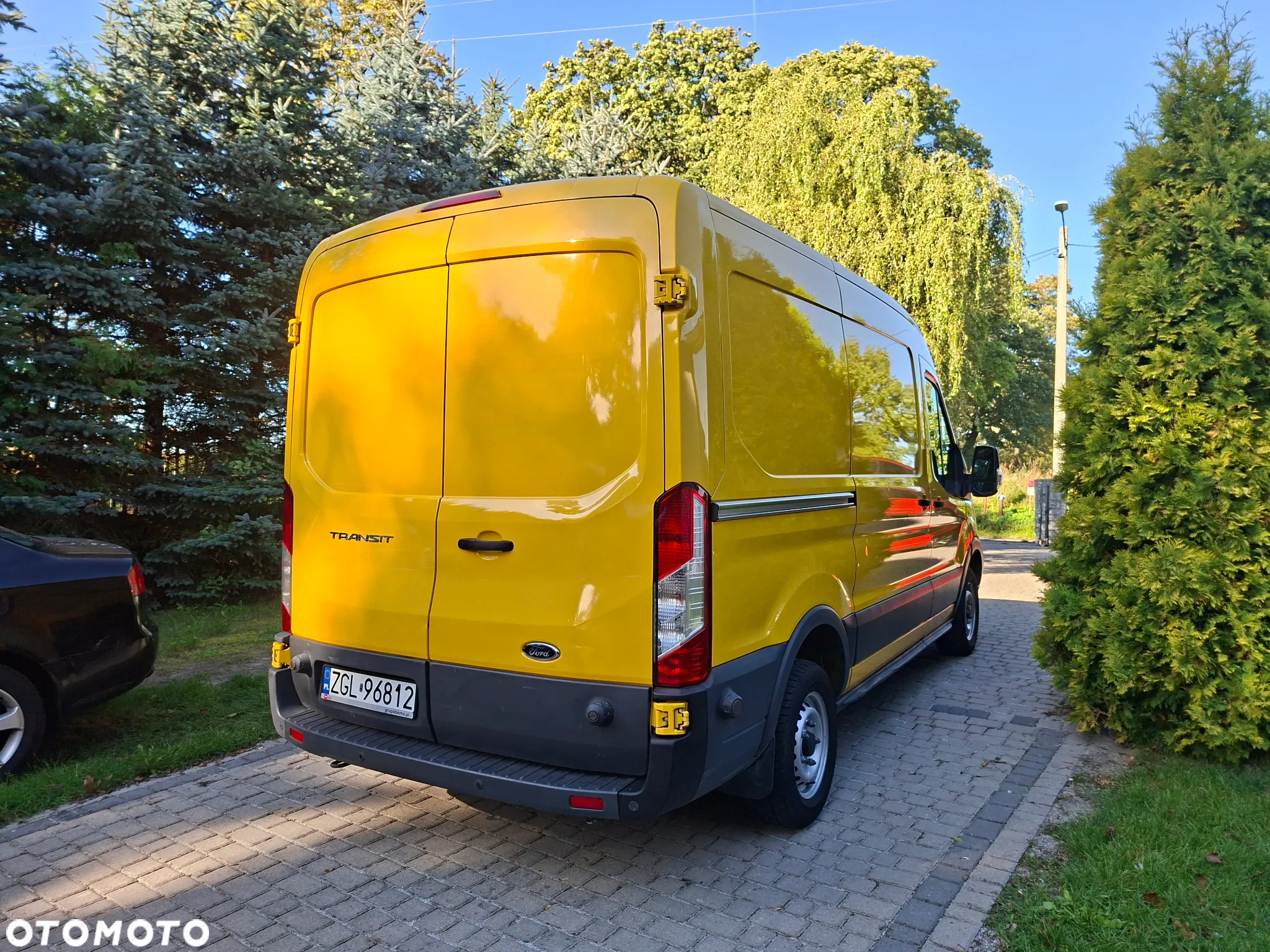 Ford Transit - 4