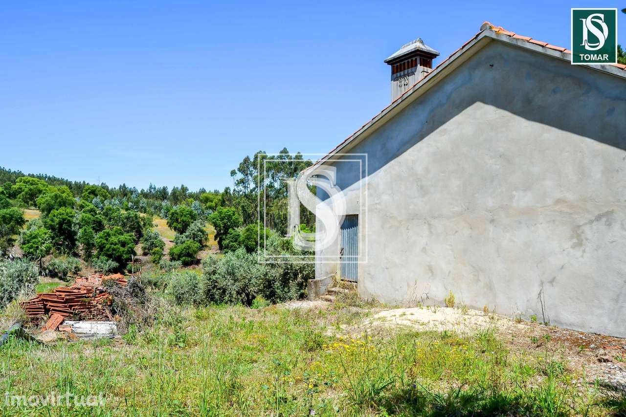 Moradia Isolada T3 em UDF de Serra e Junceira - Grande imagem: 3/21