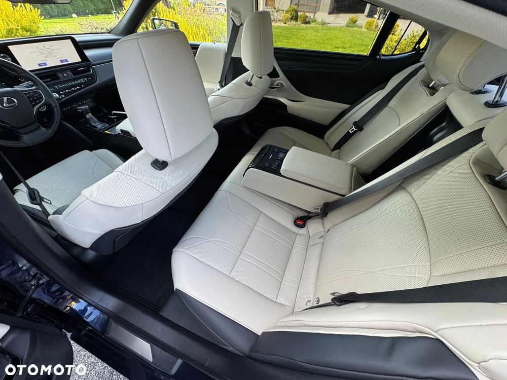 Lexus ES 300h Omotenashi - 6