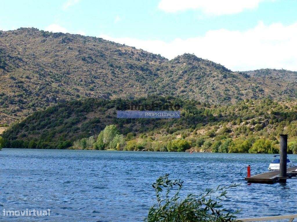 Quinta, Vinha, Casa, frente rio Douro. Portugal, Foz do Sabor, Torr... - Grande imagem: 4/8