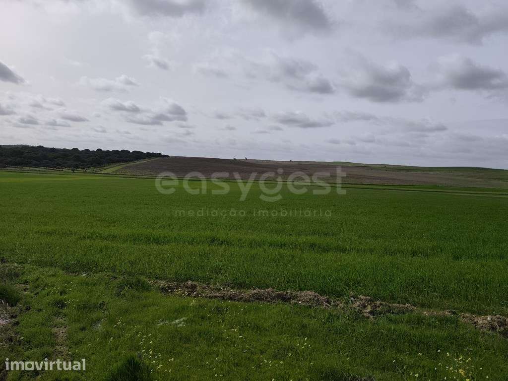 Terreno Rústico com área total de 10, 0375 ha, localizado na fregue... - Grande imagem: 2/19