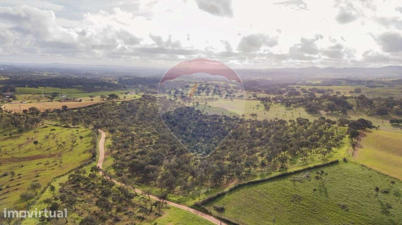 Terreno  para venda - Grande imagem: 3/13
