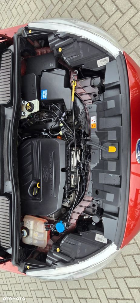 Ford C-MAX 1.5 EcoBoost Start-Stop-System Titanium - 39