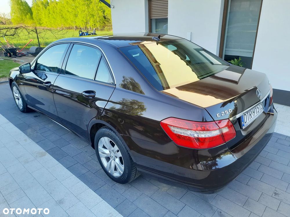 Mercedes-Benz Klasa E 250 CDI 4-Matic BlueEff - 7
