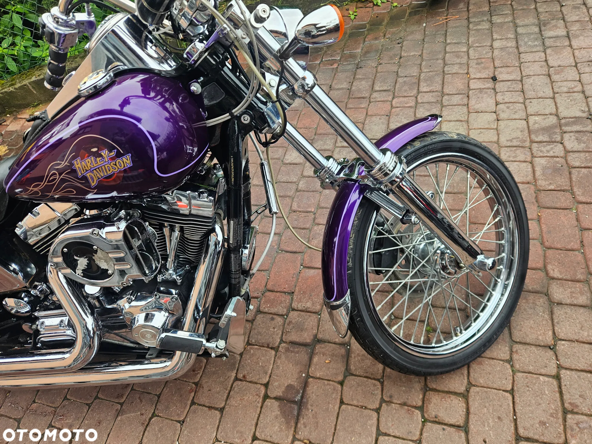 Harley-Davidson Dyna Wide Glide - 8