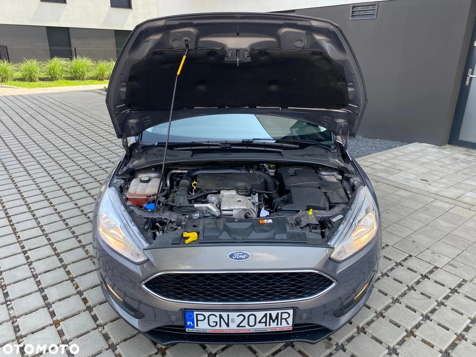 Ford Focus 1.0 EcoBoost Titanium ASS - 19