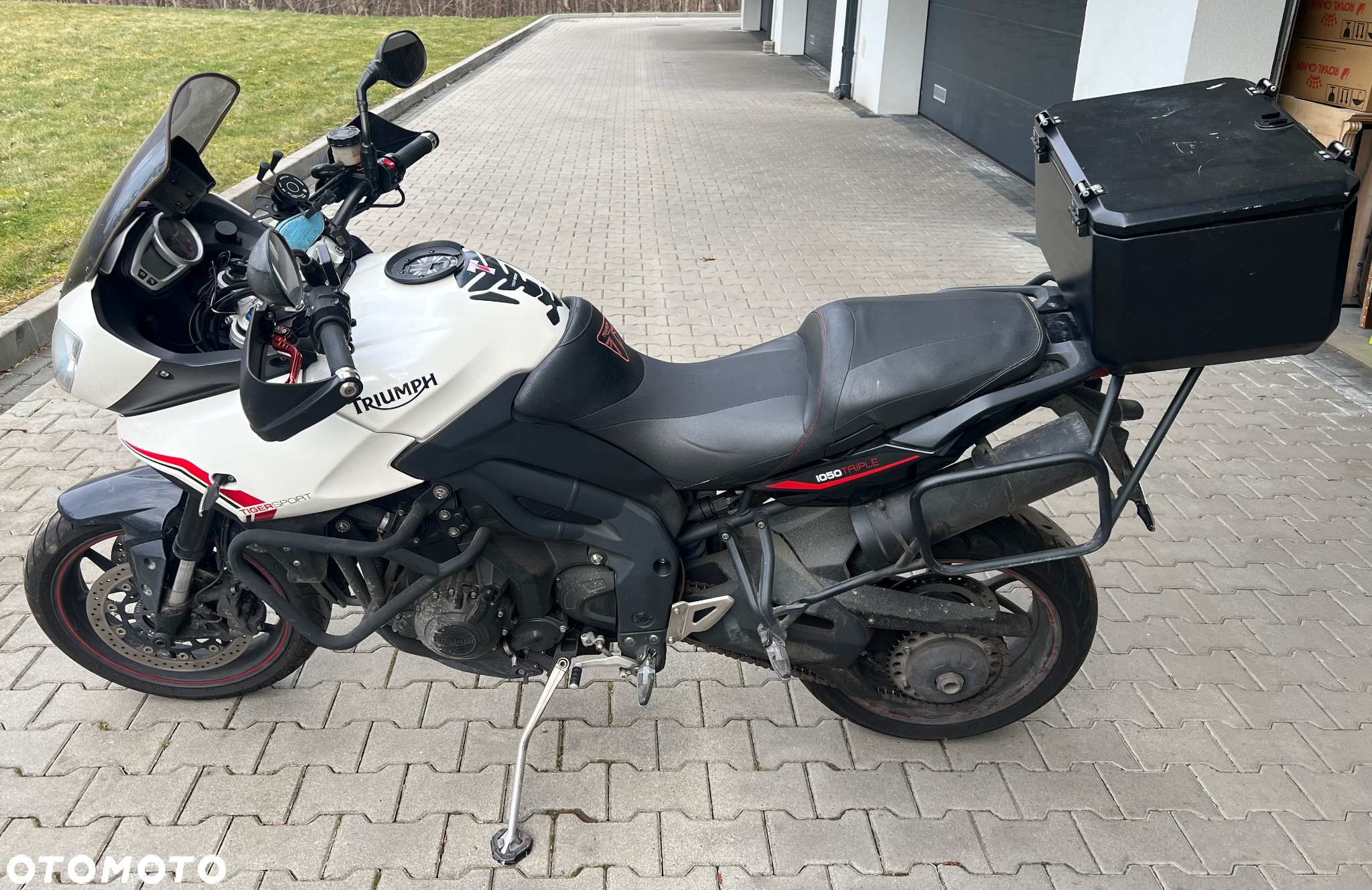 Triumph Tiger - 3