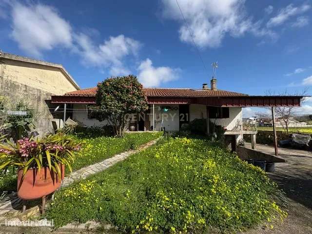 Moradia T4 em Ouca, Vagos - Grande imagem: 3/26