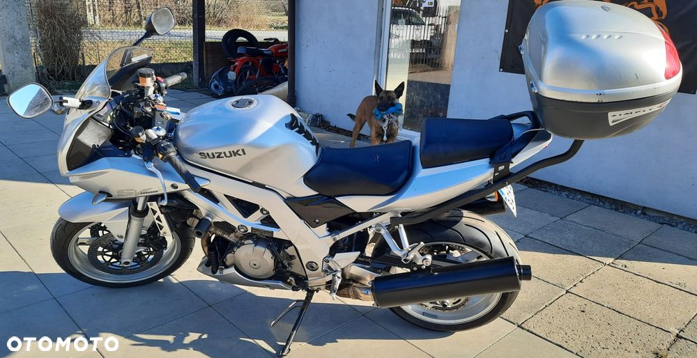 Suzuki SV - 1