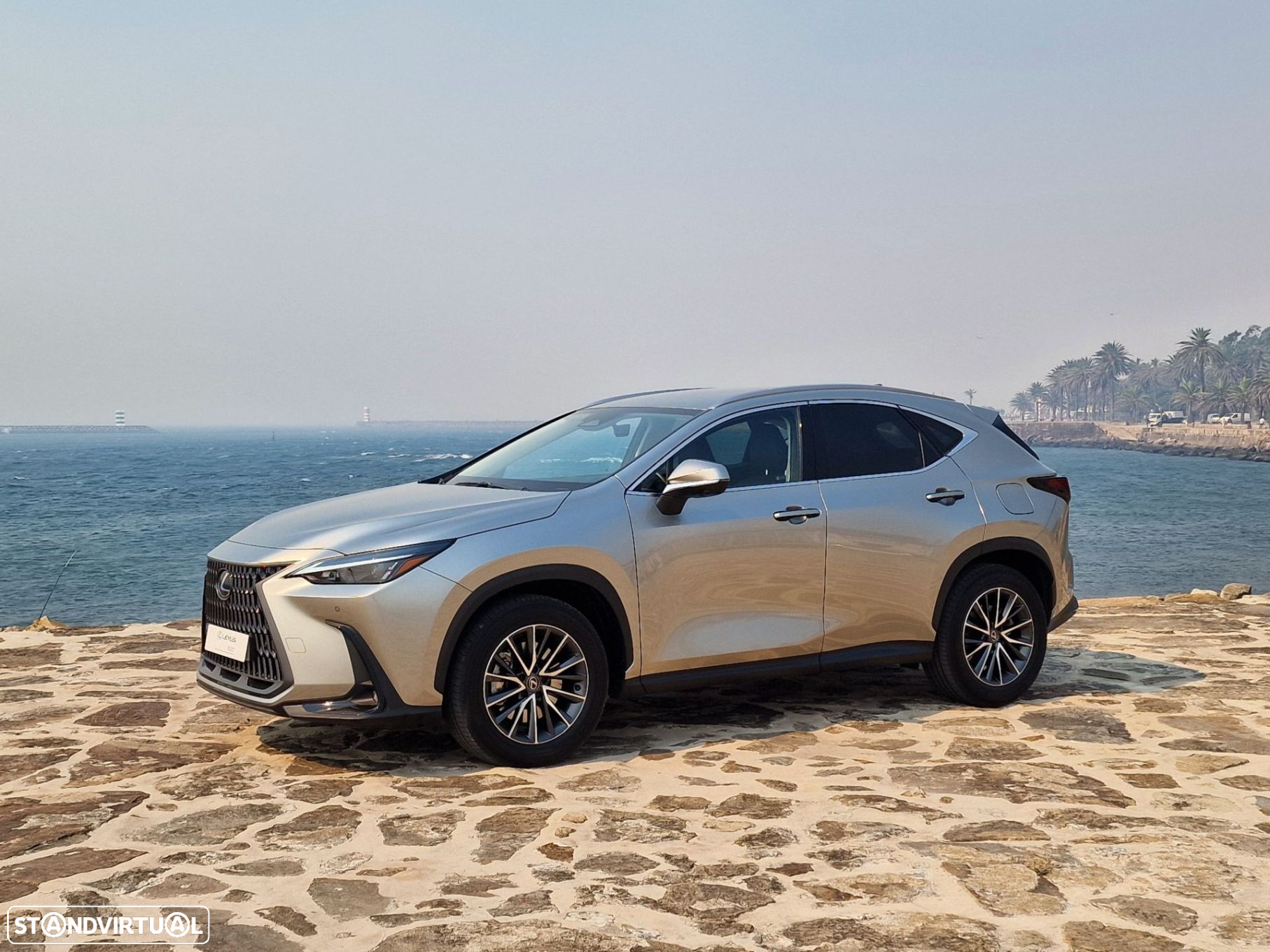 Lexus NX 450h+ - 2