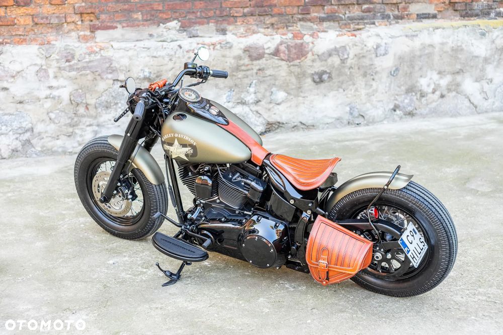 Harley-Davidson Softail Heritage Classic - 10