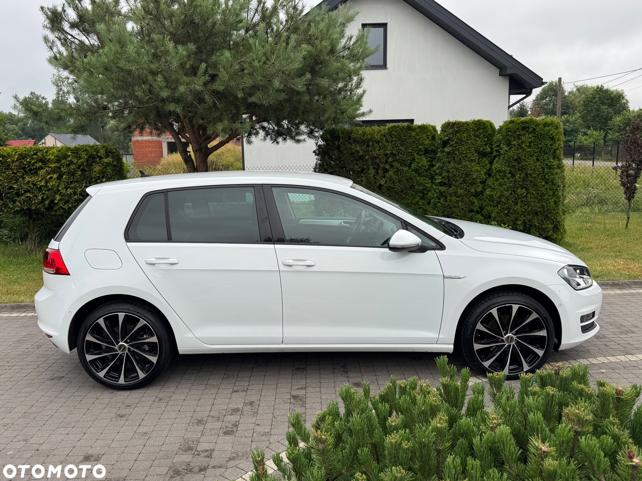Volkswagen Golf 2.0 BlueTDI Cup - 5