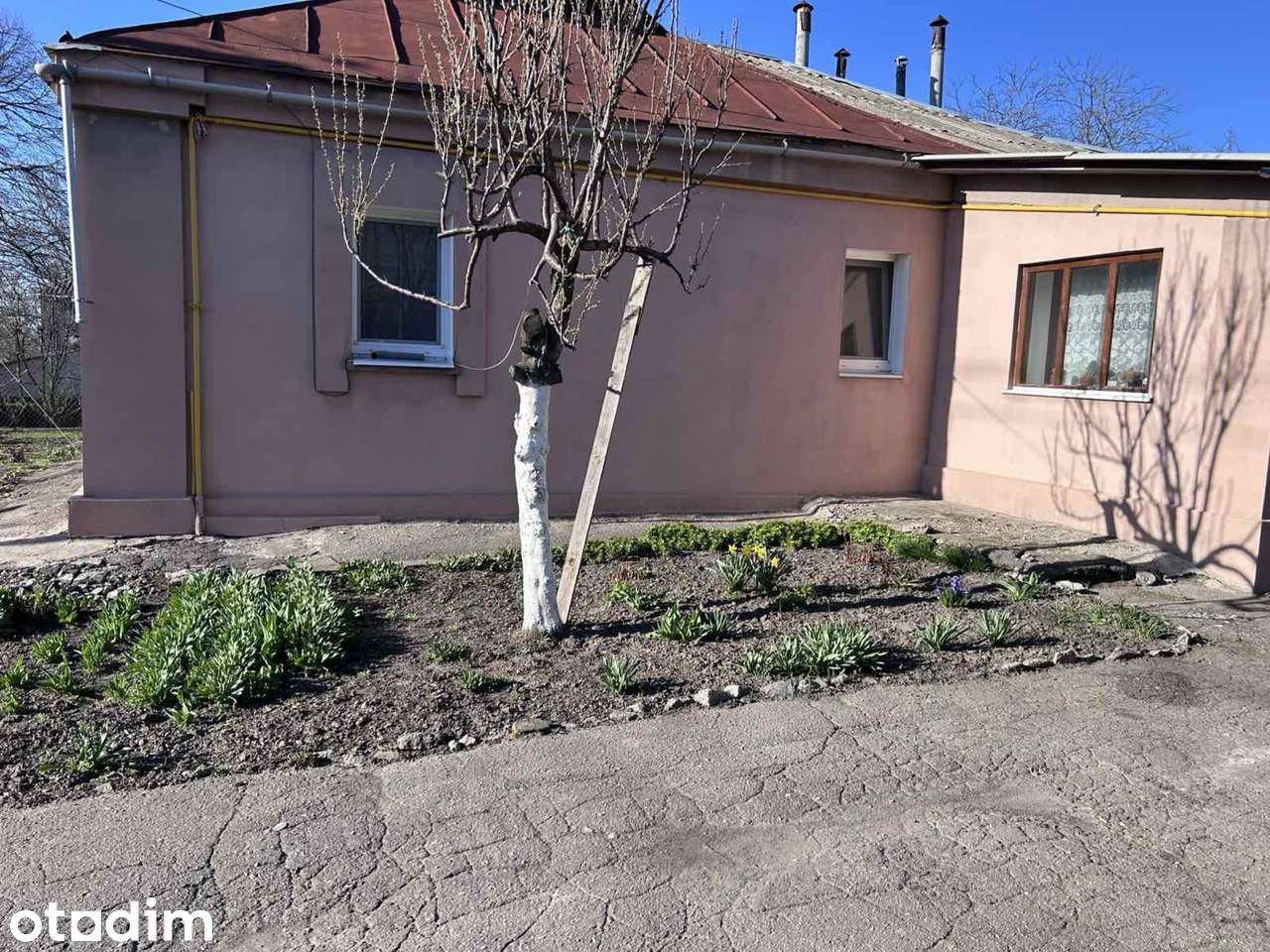 Частина будинку з власним двором та садом у місті Узин - Повне зображення: 2/12