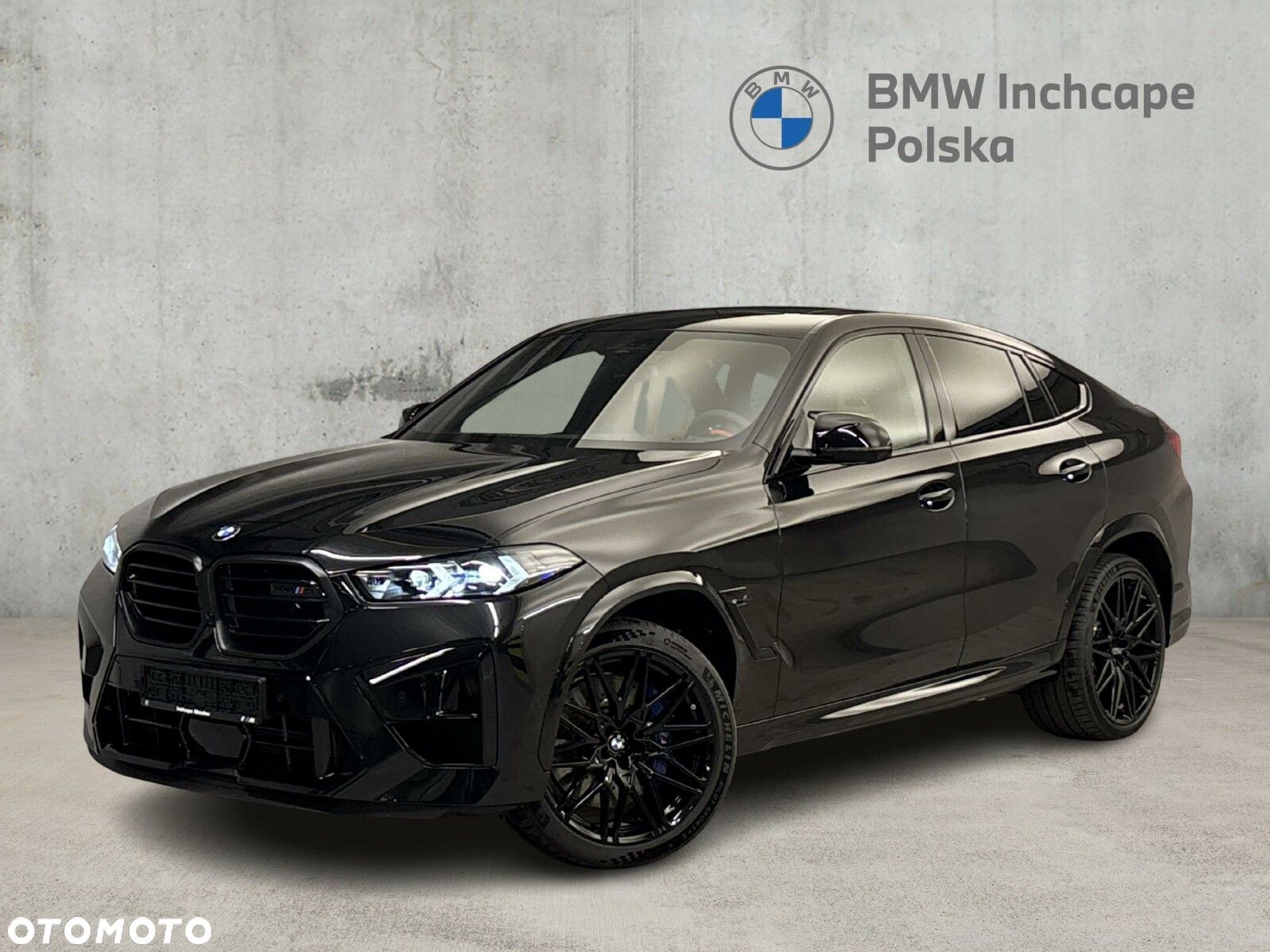 BMW X6M - 1