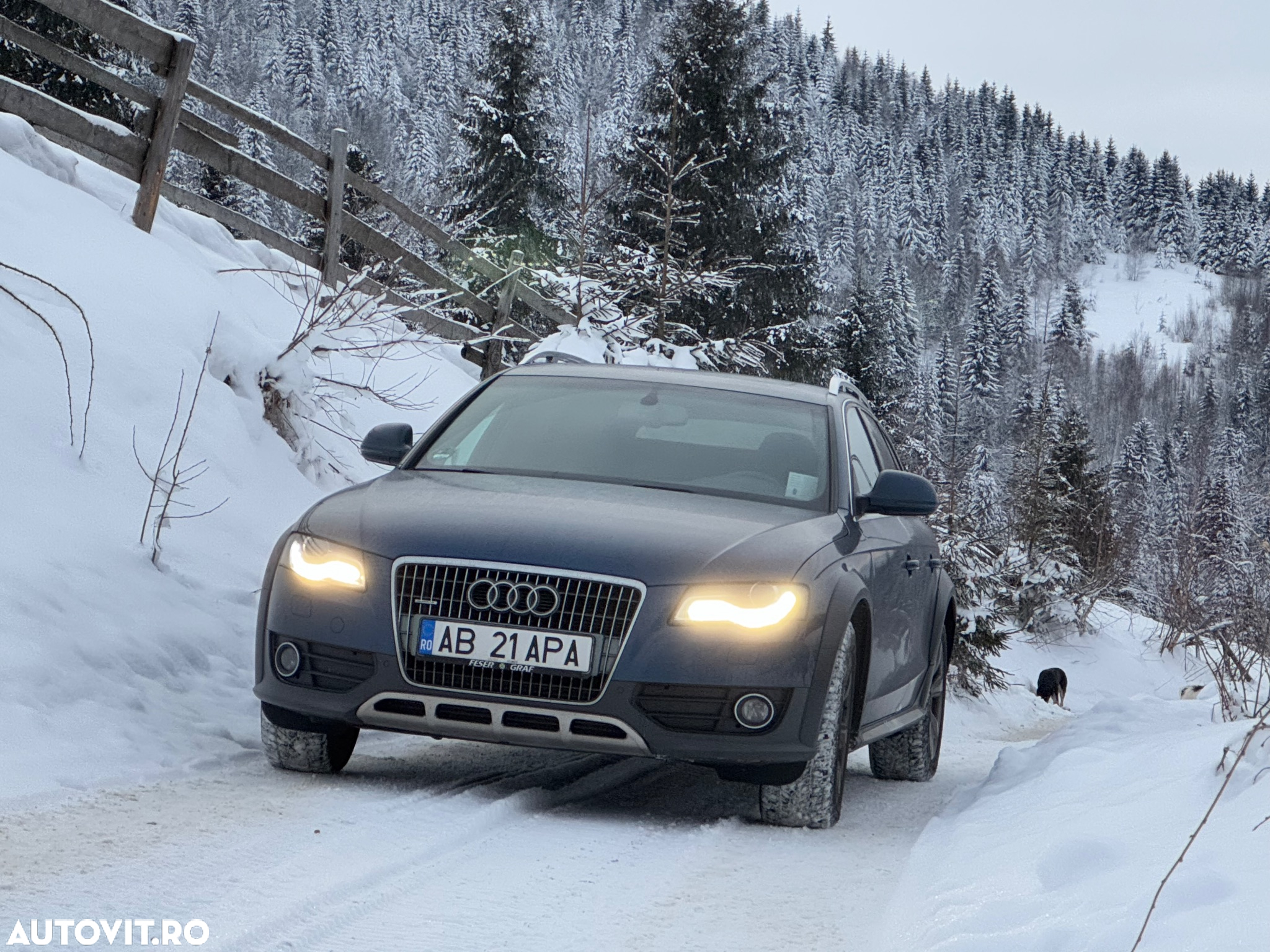 Audi A4 Allroad quattro 3.0 TDI DPF - 12