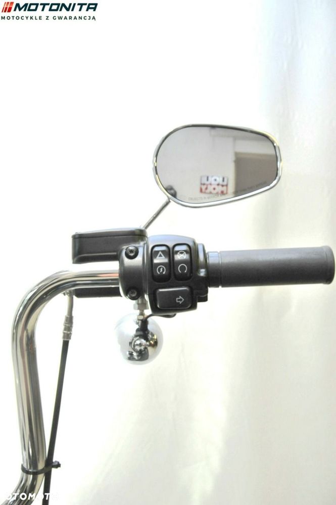 Harley-Davidson Softail Standard - 10