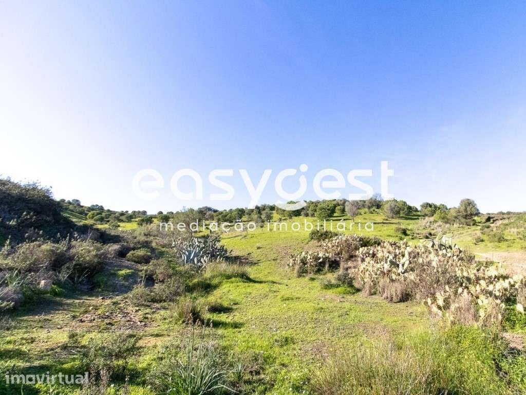 Lote de Terreno Rustico para cultura de sequeiro nas Fontainhas - Grande imagem: 5/14