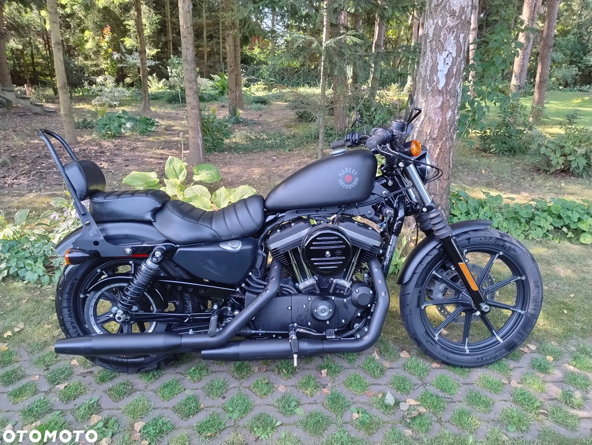 Harley-Davidson Sportster Iron 883 - 5