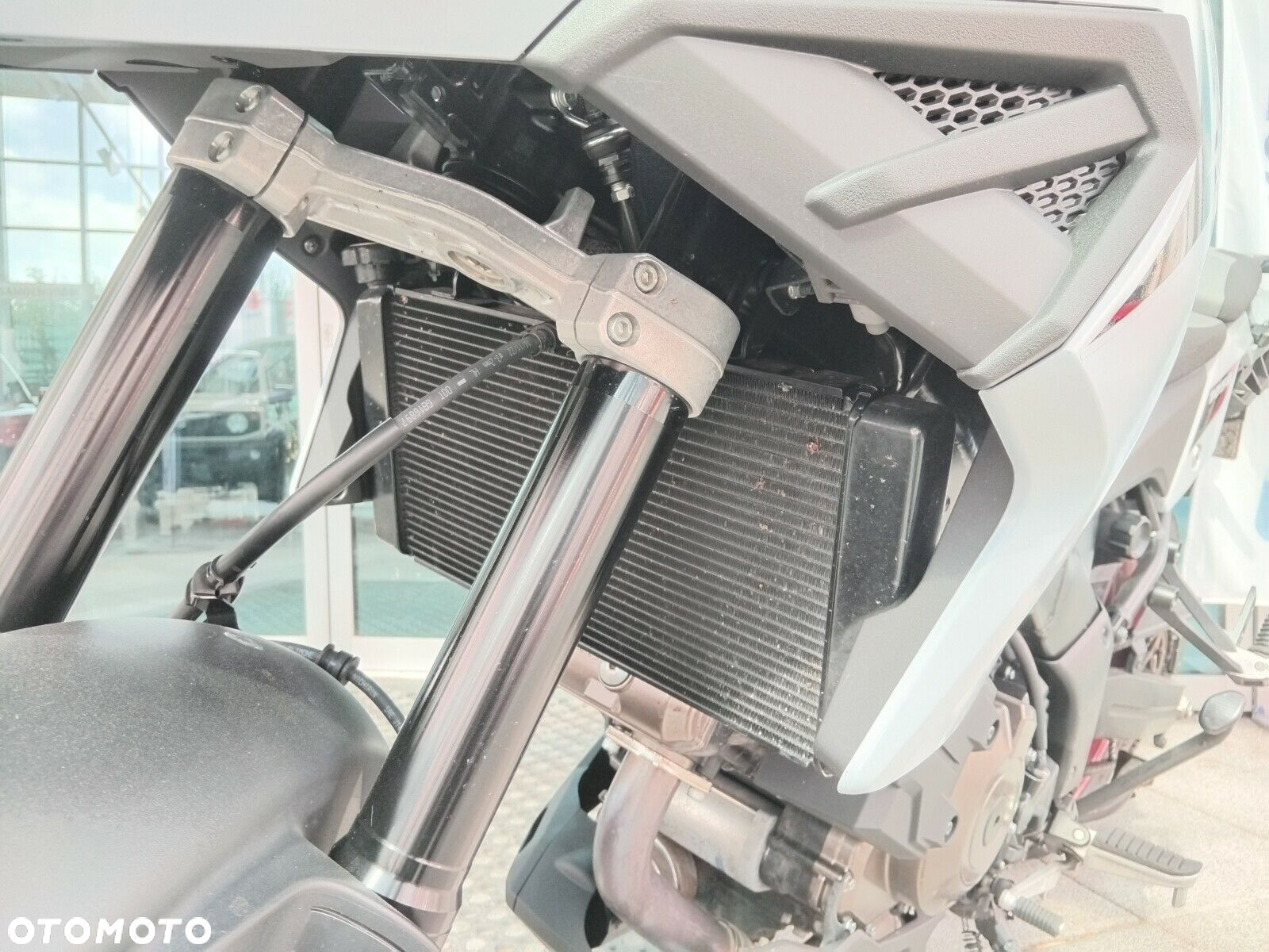 Suzuki DL - 6