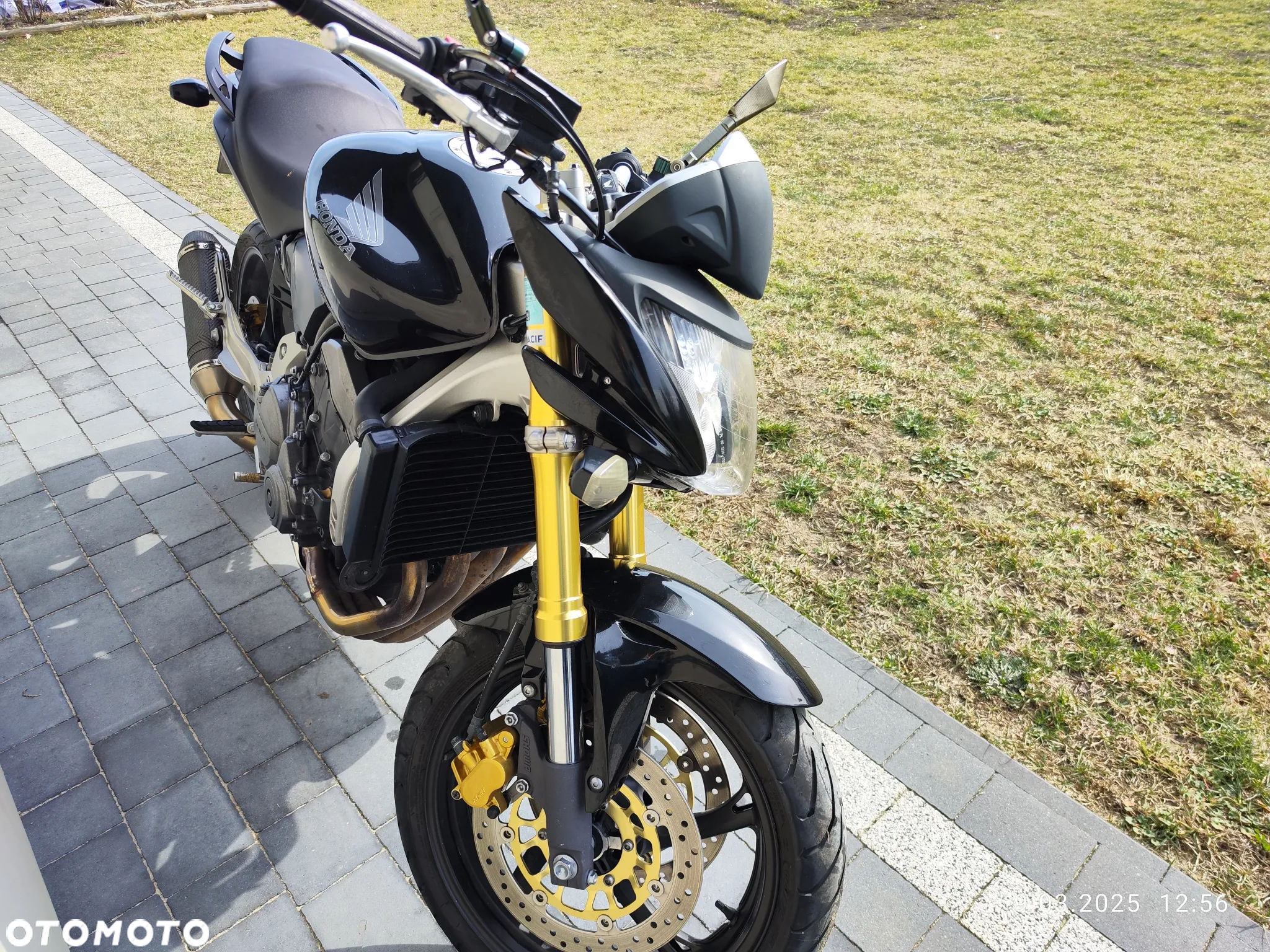 Honda Hornet - 16