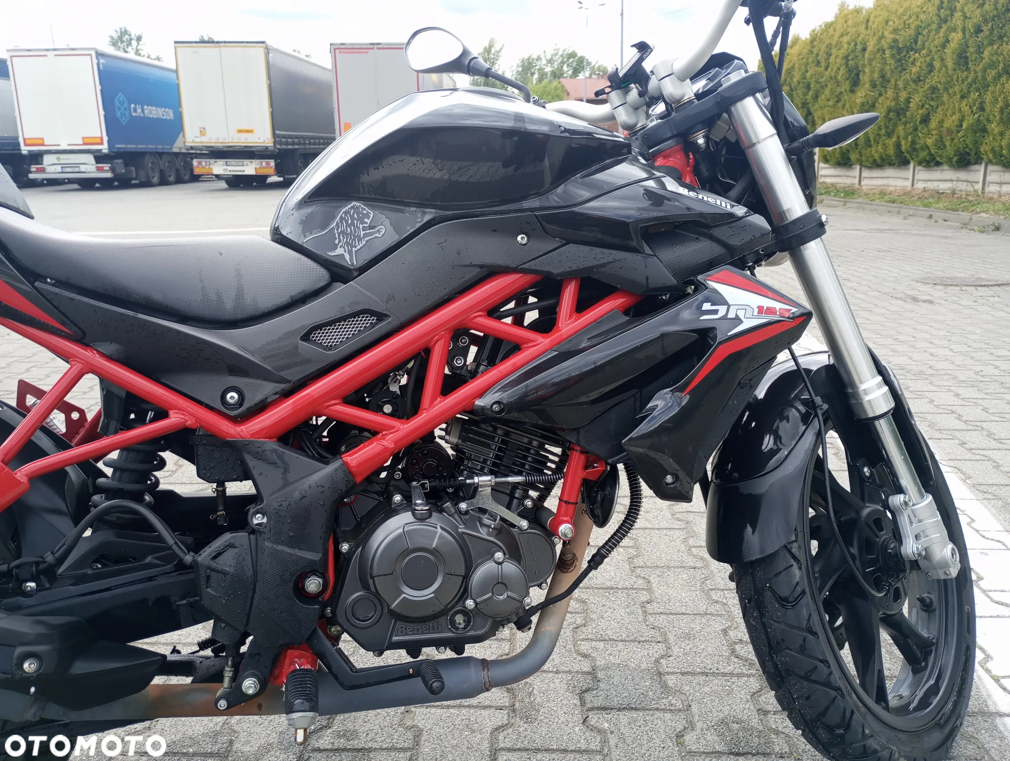 Benelli BN 125 - 8