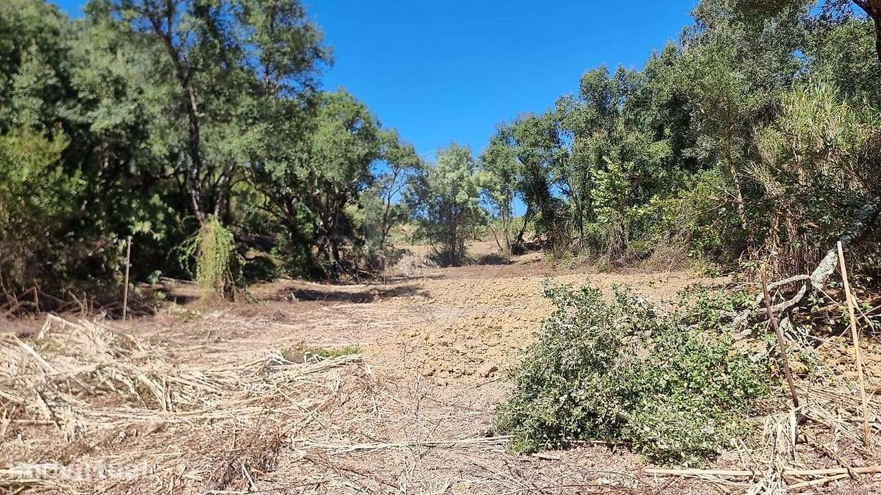 Terreno  para venda - Grande imagem: 5/15