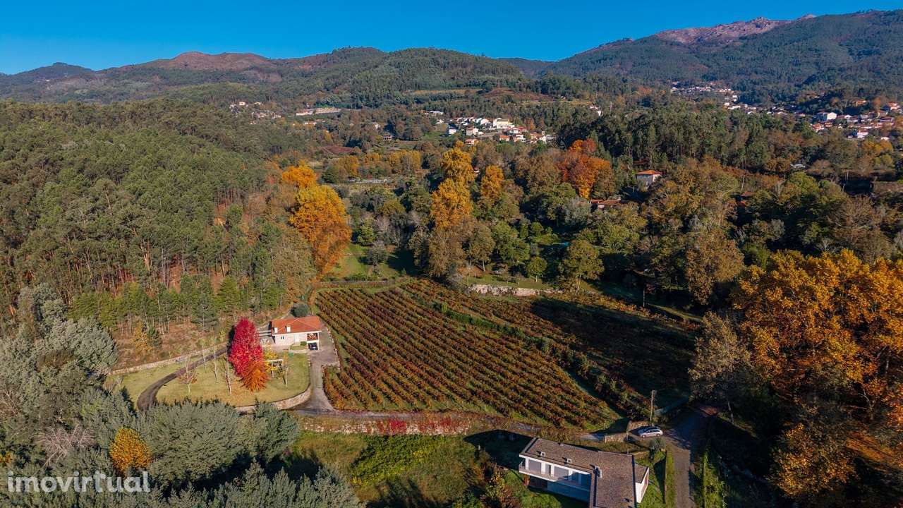 Quinta do Adigueiro, uma propriedade de charme única, situada em Bo... - Grande imagem: 5/47