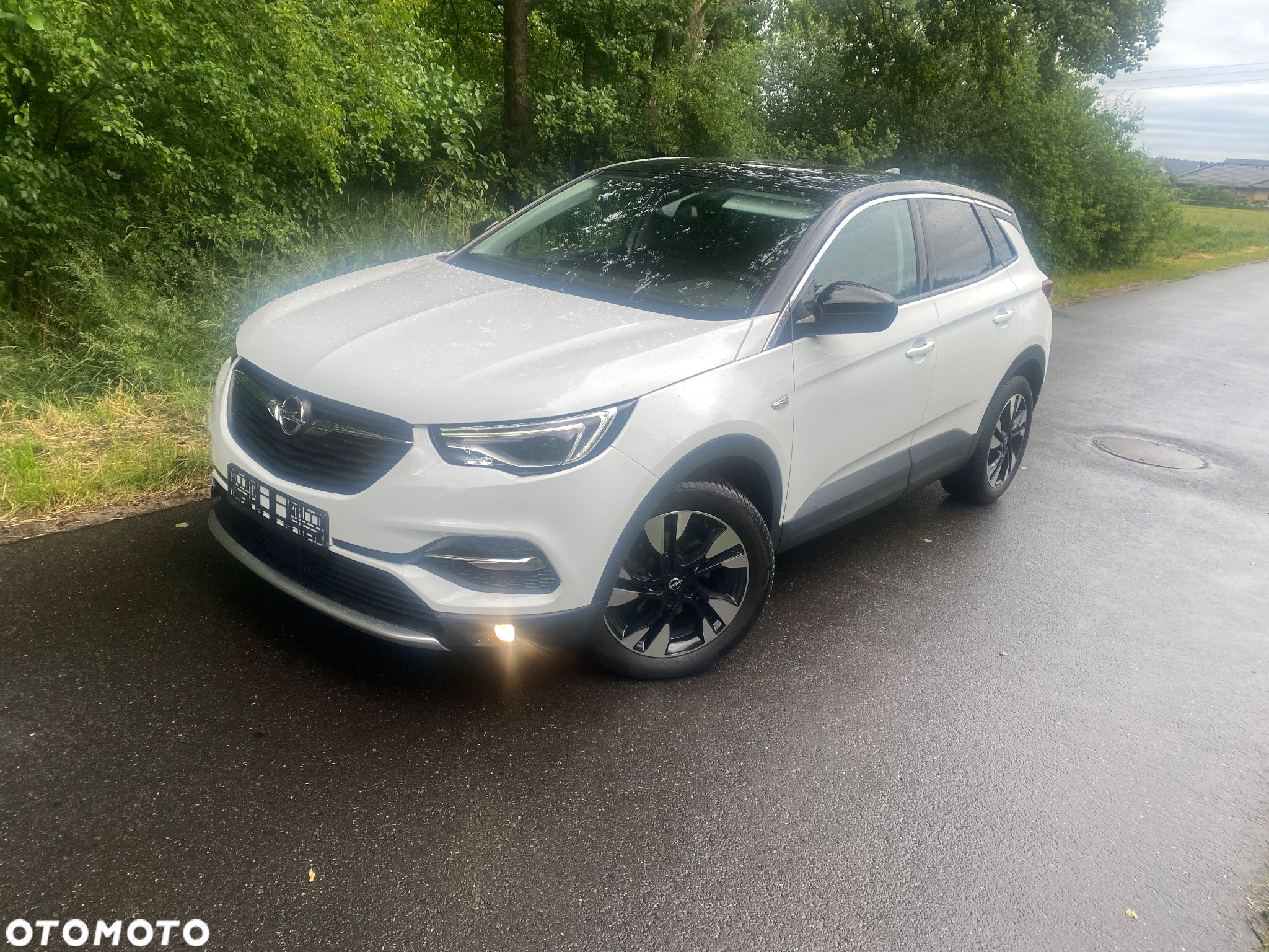Opel Grandland X 2.0 D Start/Stop Automatik Design Line - 4